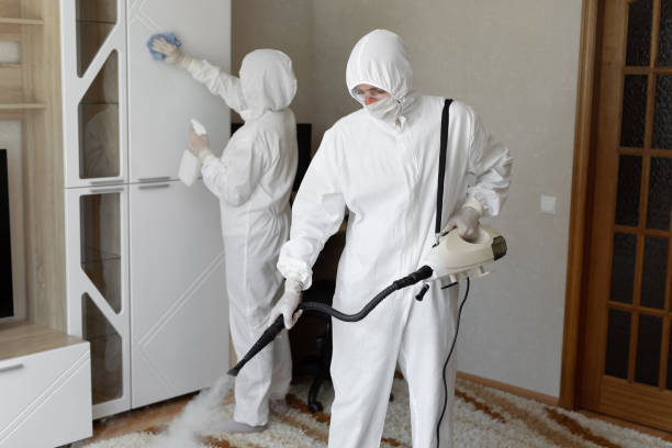 Certified Mold Removal in Higganum, CT