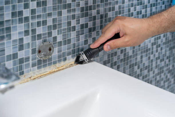 Higganum, CT Mold Removal Company